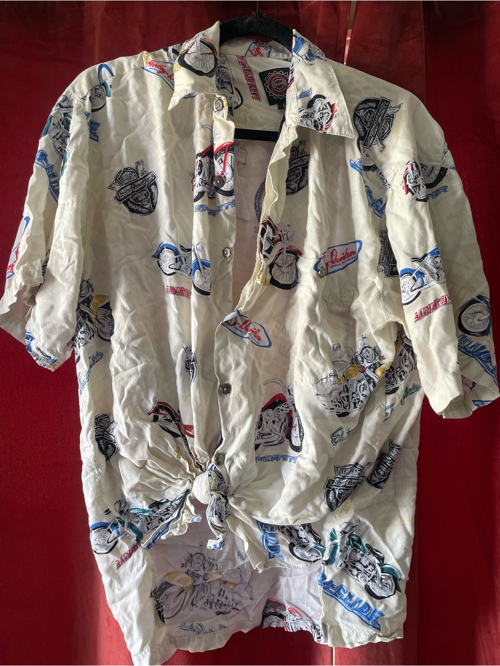 Vintage Harley button up